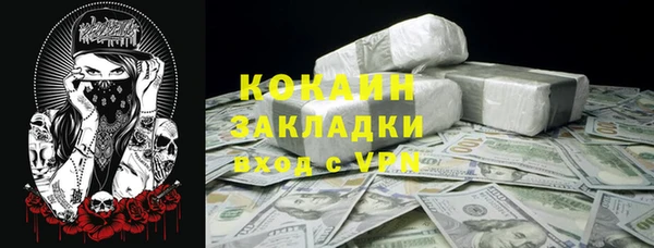 тгк Нея