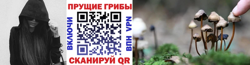 где найти   Исилькуль  Галлюциногенные грибы мухоморы 